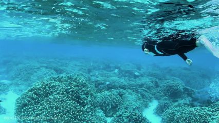 サイパン旅行記 アクアリゾートクラブでスノーケリング Saipan Travelogue Snorkeling At Aqua Resort Hotel 旅行 飛行機と旅行 Aircrafts And Travel