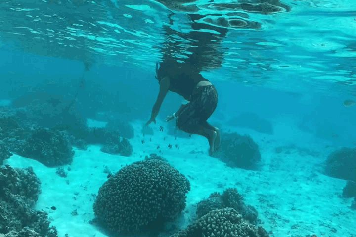 サイパン アクアリゾートクラブ アチュガオビーチ沖のサンゴ礁とアクア マリンスポーツのフレンドリーな日本人ガイドさん